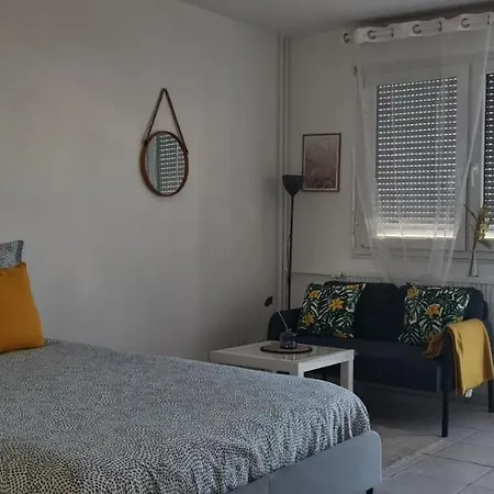 Kulla Avec Terasse 5mn Basel Airport *